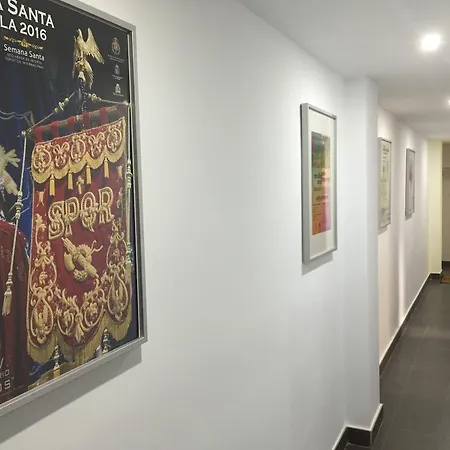 Turistico Obispo36 En Ciudad * Orihuela
